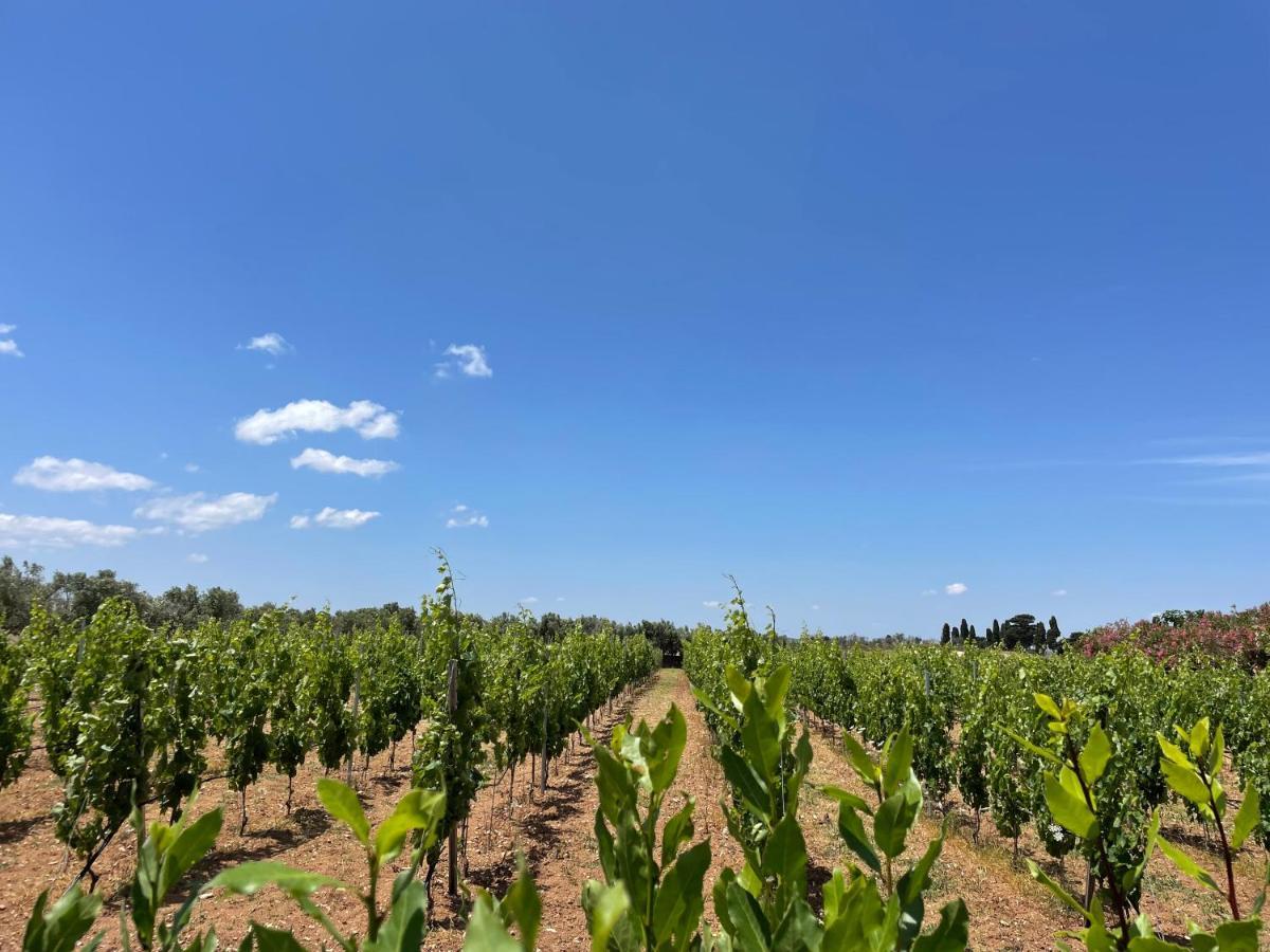 Agriturismo Terra Rossa Οτράντο Εξωτερικό φωτογραφία
