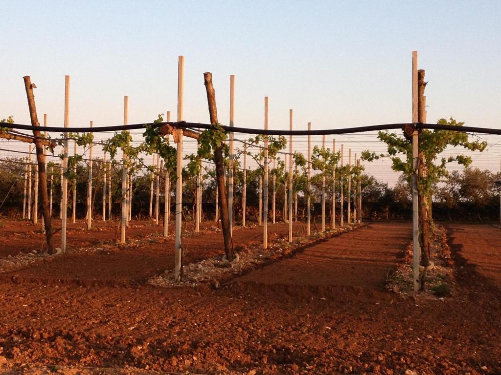Agriturismo Terra Rossa Οτράντο Εξωτερικό φωτογραφία