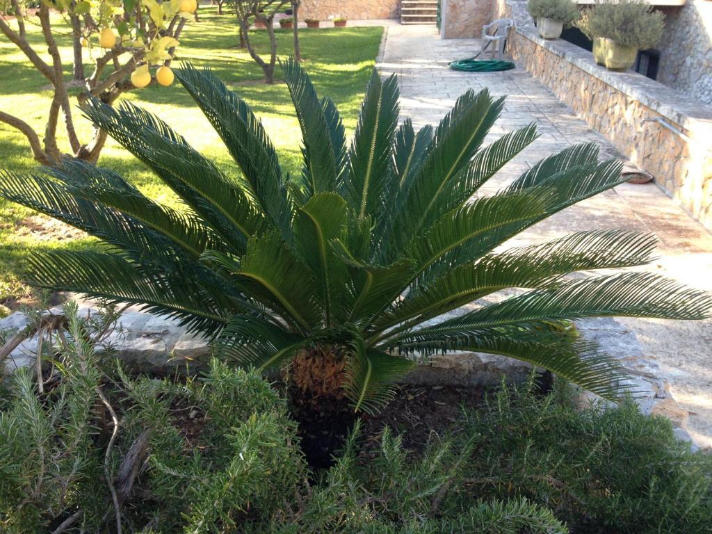 Agriturismo Terra Rossa Οτράντο Εξωτερικό φωτογραφία
