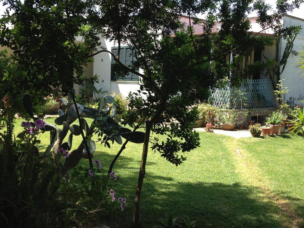 Agriturismo Terra Rossa Οτράντο Εξωτερικό φωτογραφία