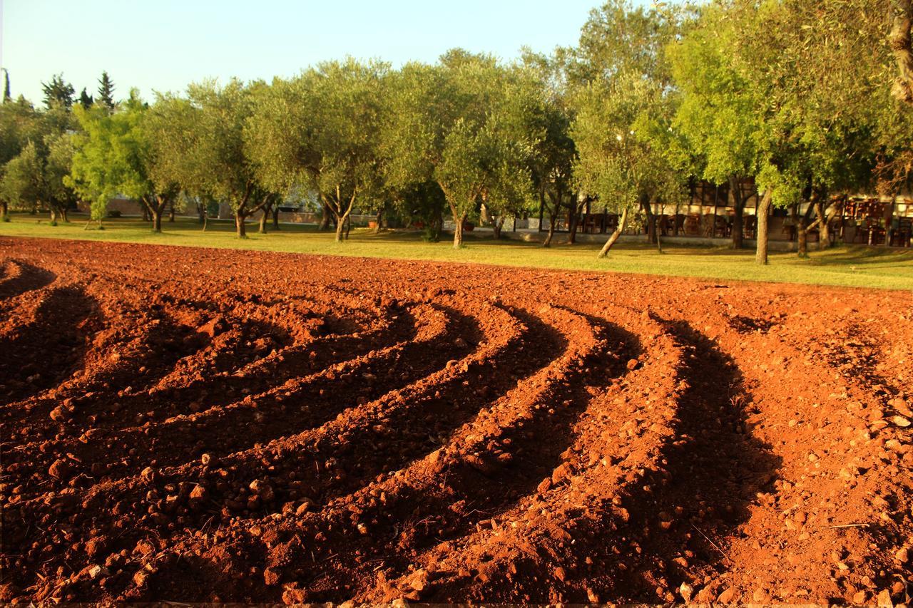Agriturismo Terra Rossa Οτράντο Εξωτερικό φωτογραφία