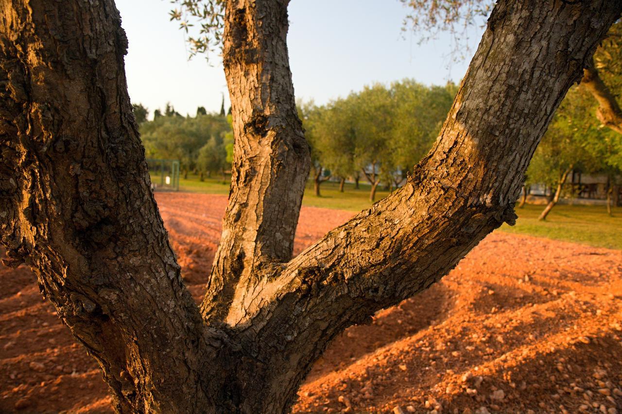 Agriturismo Terra Rossa Οτράντο Εξωτερικό φωτογραφία